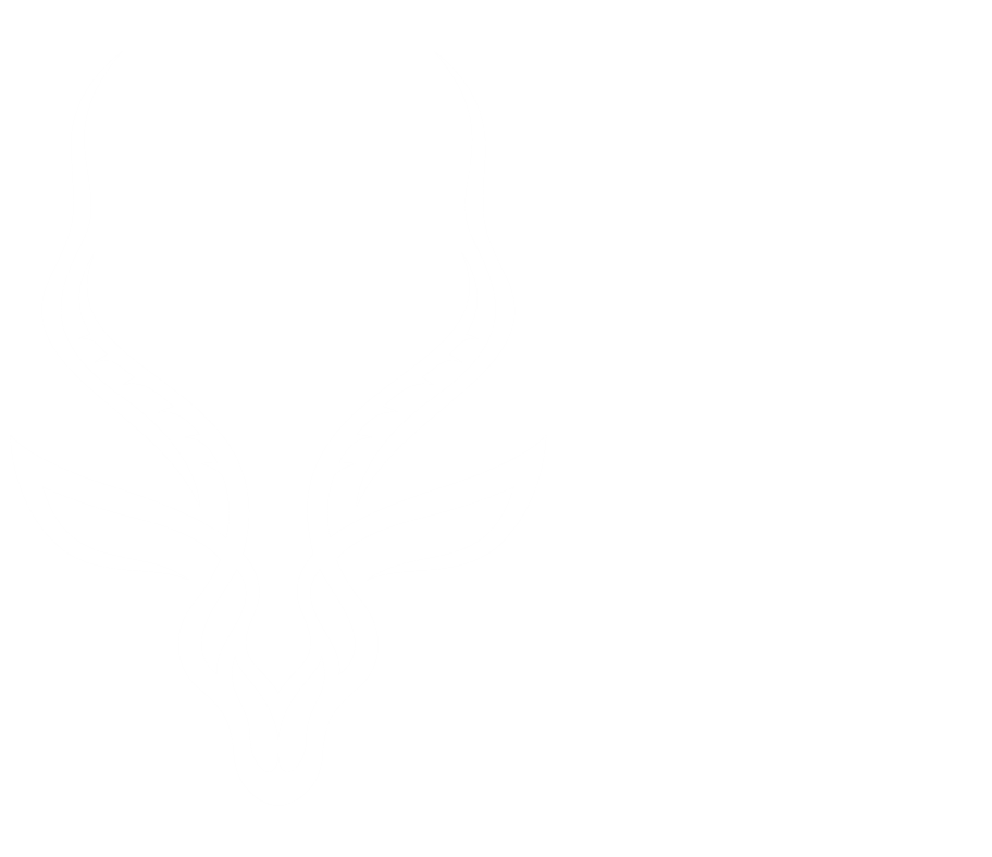 Website header horns white